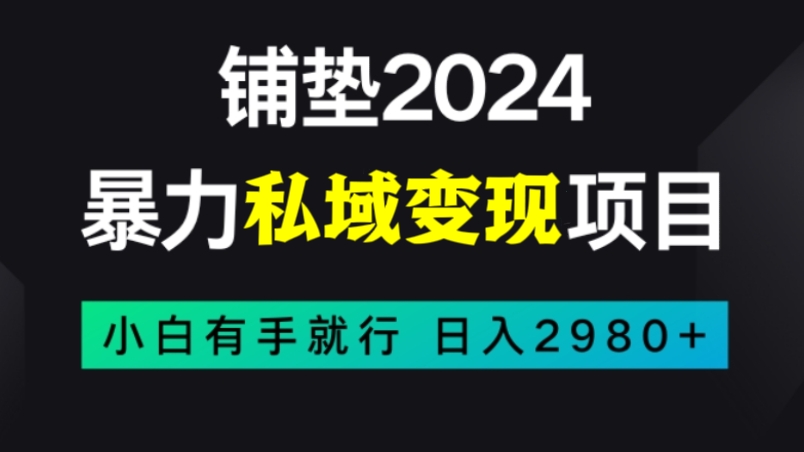 [第2466讲]暴力私域变现项目，日入2980+