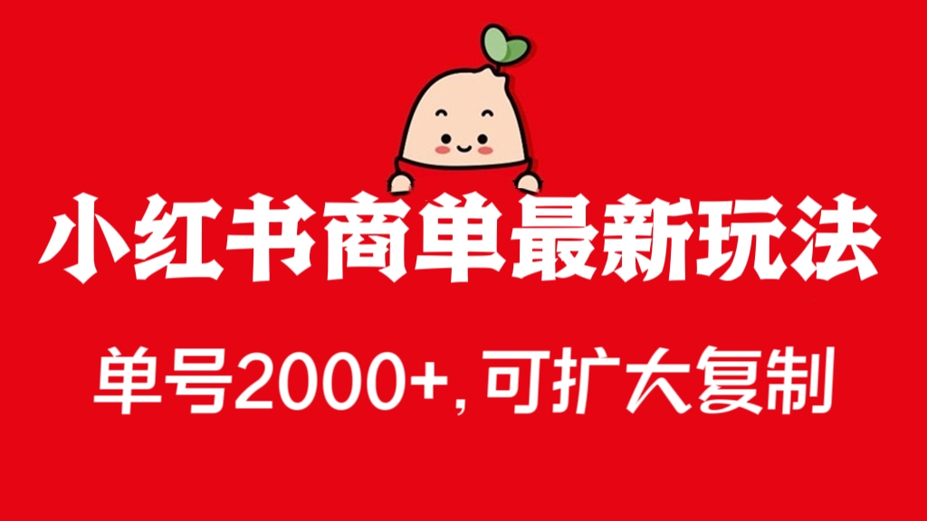 [第2469讲]【全网首发】小红书商单最新玩法，单号2000+，可扩大可复制