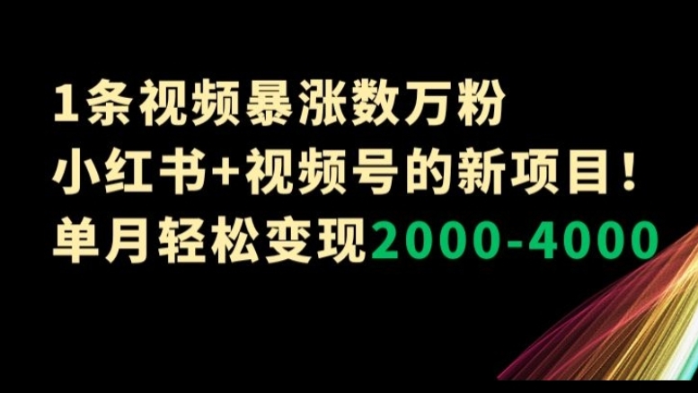 [第2535讲]一条视频暴涨数万粉！小红书+视频号新项目！单月变现2000-4000