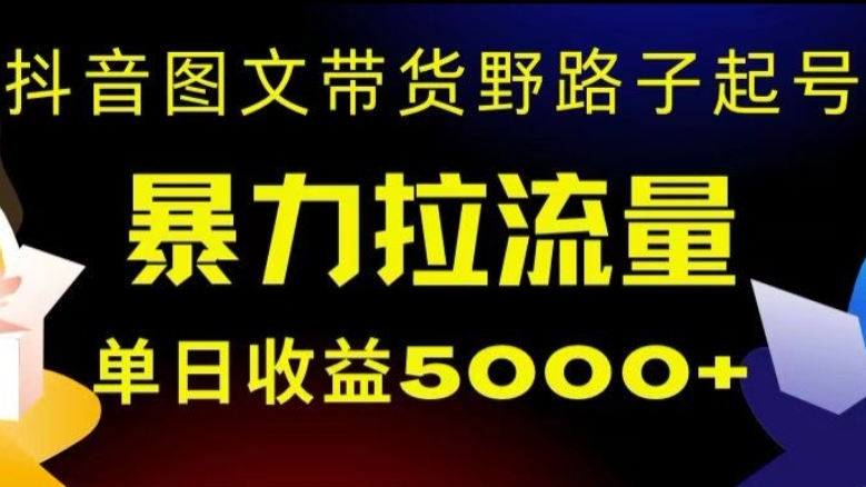 [第2551讲]野路子玩法！抖音图文带货暴力起号，单日收益5000+