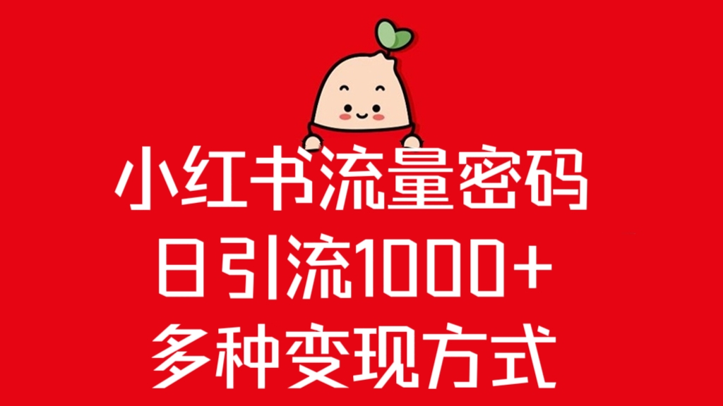 [第2556讲]小红书爆款流量玩法，日引流1000+，多种变现方式