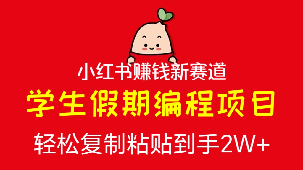 [第2576讲]小红书赚钱新赛道之学生假期编程项目，轻松复制粘贴，轻松到手2W+