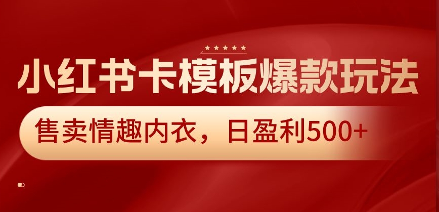 [第2646讲]小红书卡模板爆款玩法，售卖情趣内衣，日盈利500+