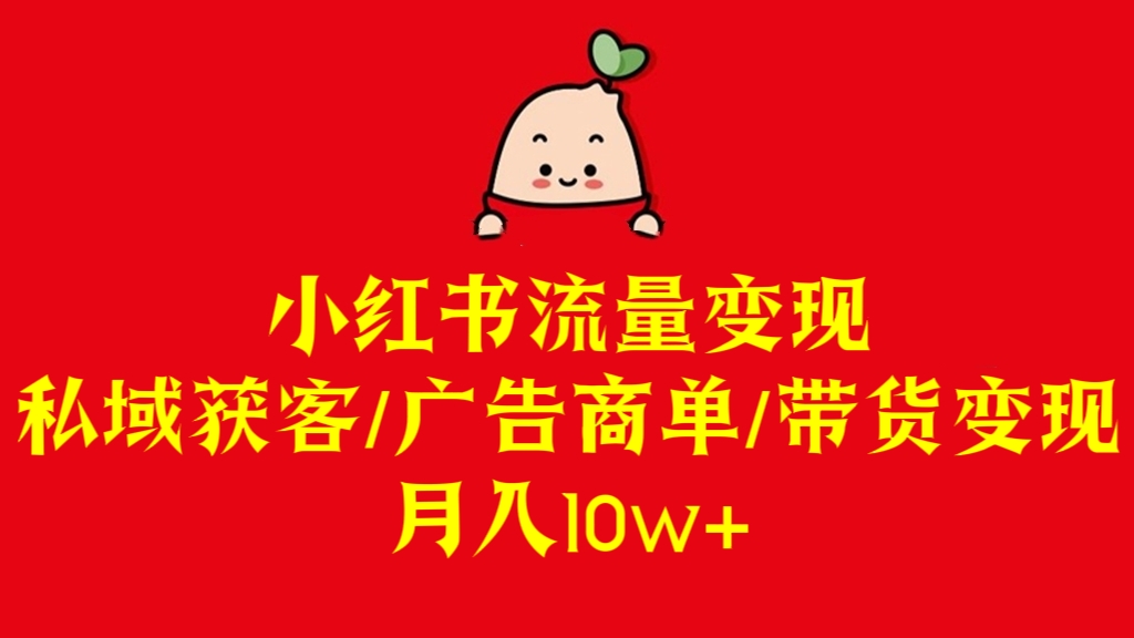 [第2649讲]小红书流量变现（私域获客、广告商单、带货变现），月入10w+