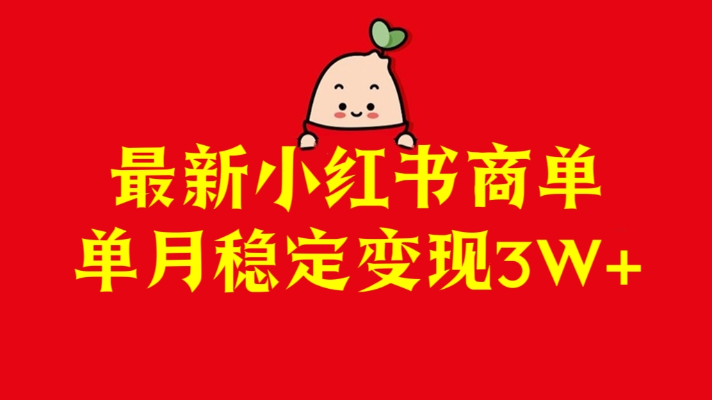 [第2666讲]最新小红书商单，单月稳定变现3W+