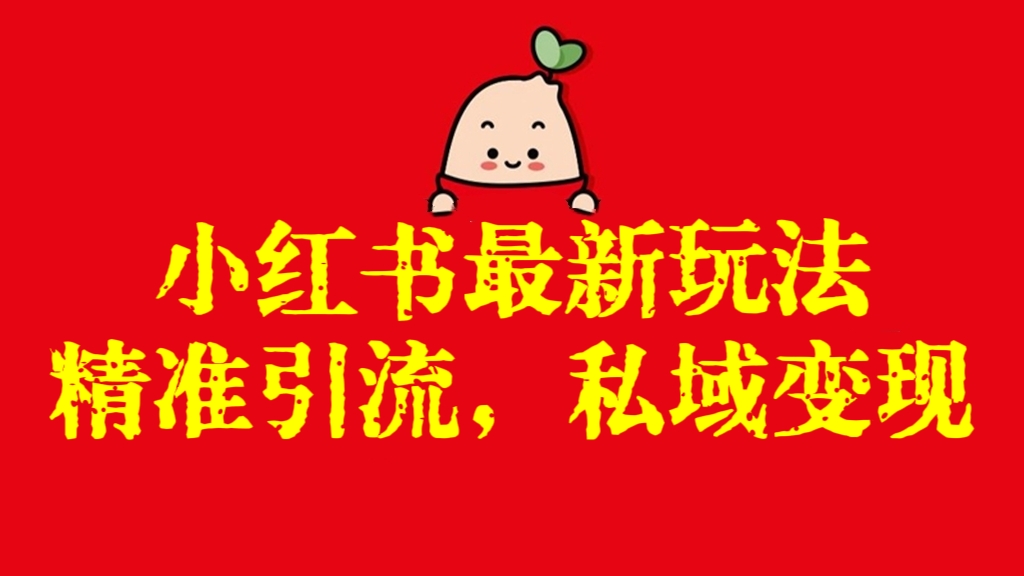 [第2674讲]【长期可做】小红书最新玩法！精准引流，私域变现