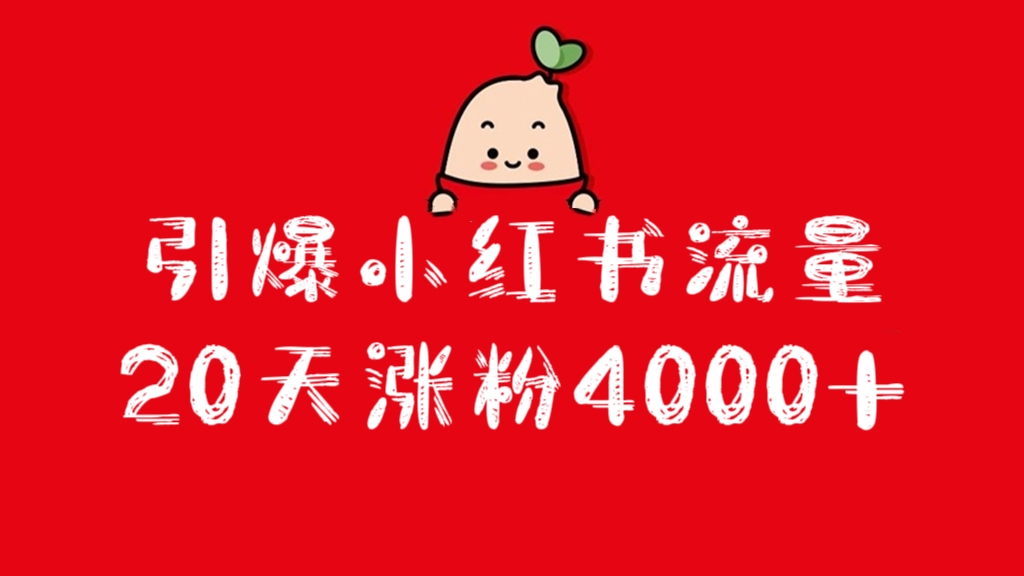 [第2686讲]超火引爆小红书流量，20天涨粉4000+