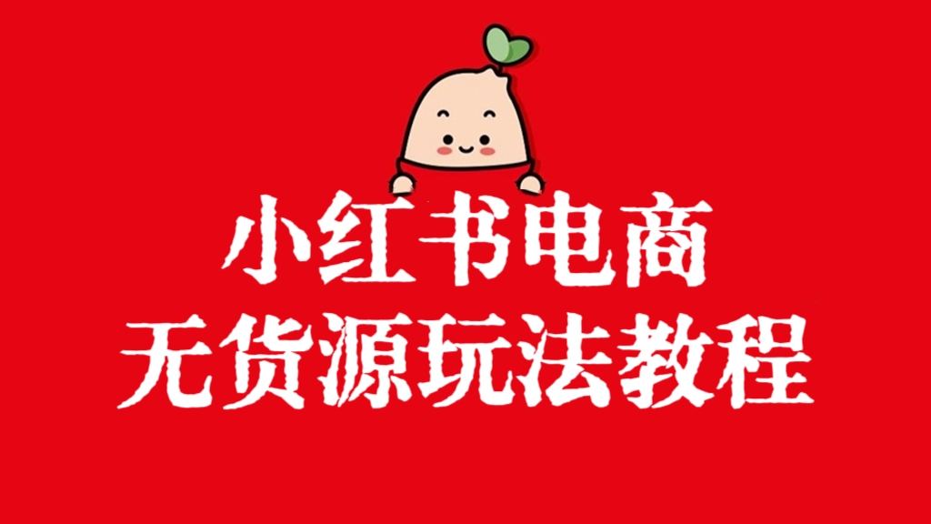 [第2741讲]小红书电商无货源玩法教程