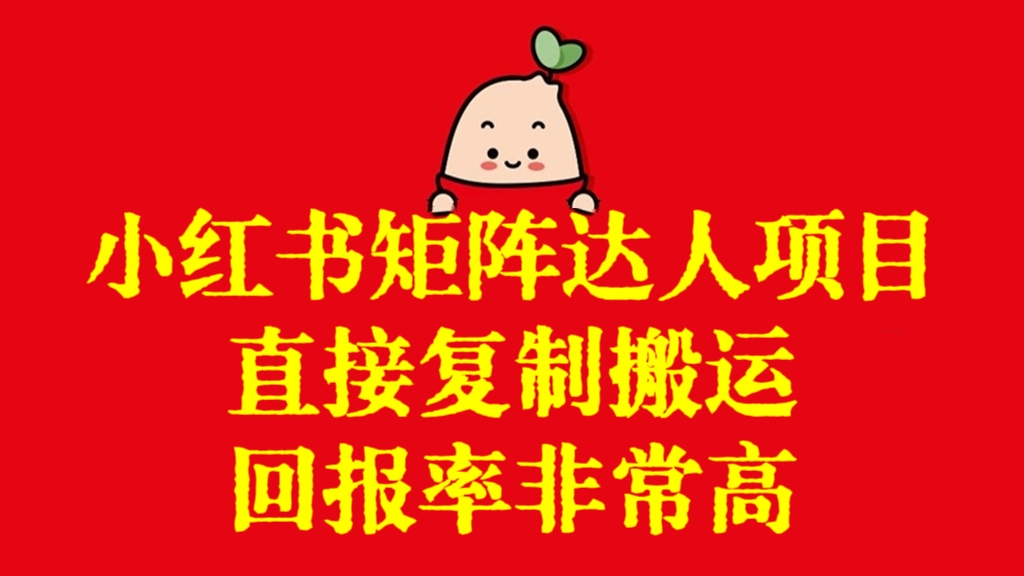 [第2743讲]小红书矩阵达人项目，直接复制搬运，回报率非常高