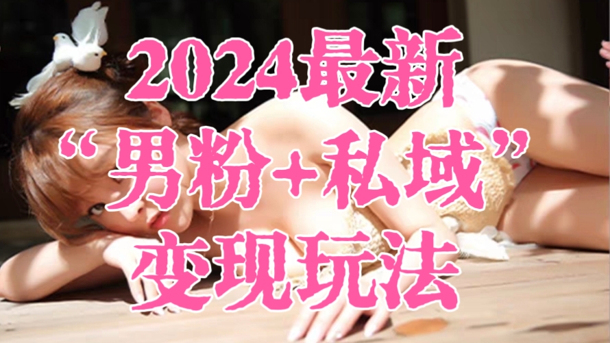 [第2790讲]2024最新“男粉+私域”变现玩法