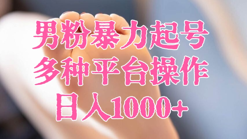[第2814讲]男粉暴力起号，多种平台操作，日入1000+