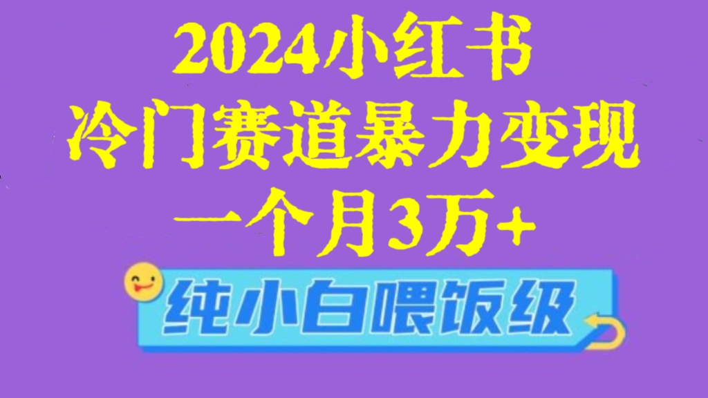 [第2816讲]（纯小白喂饭级）2024小红书冷门赛道暴力变现，一个月3万+