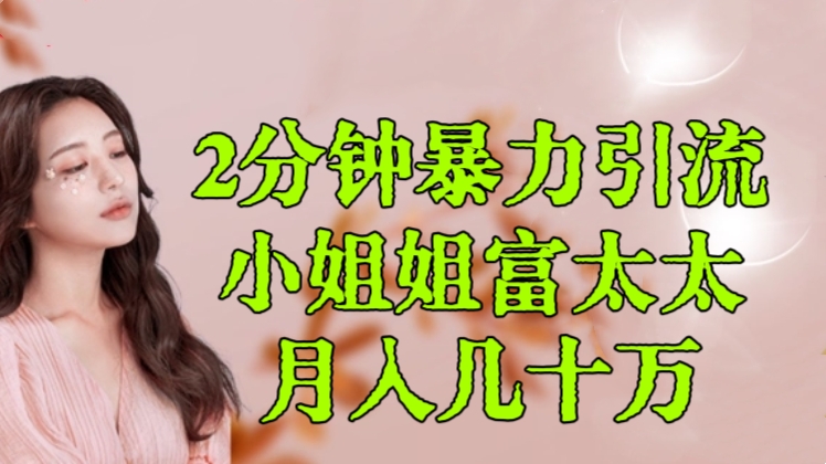 [第2821讲]【独家蓝海项目】2分钟暴力引流小姐姐富太太，月入几十万