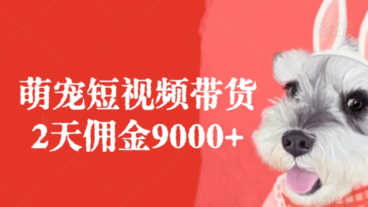 [第2823讲]萌宠短视频带货，2天佣金9000+