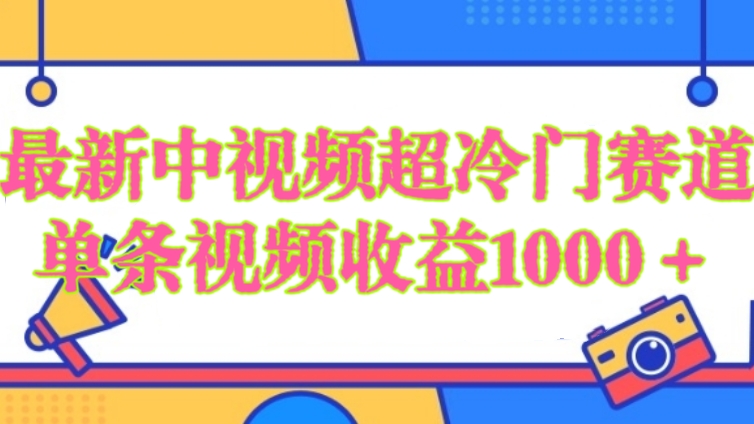 [第2827讲]最新中视频超冷门赛道，单条视频收益1000＋