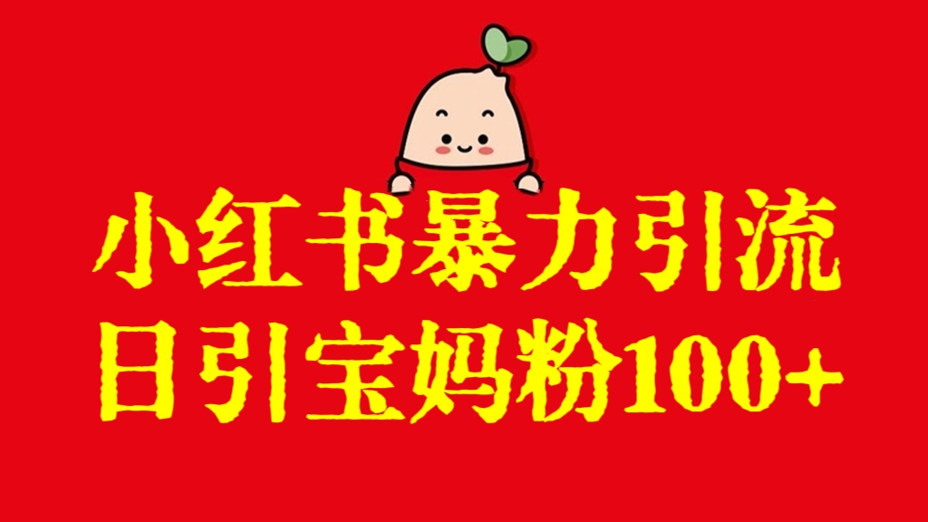 [第2852讲]小红书暴力引流项目，日引宝妈粉100+