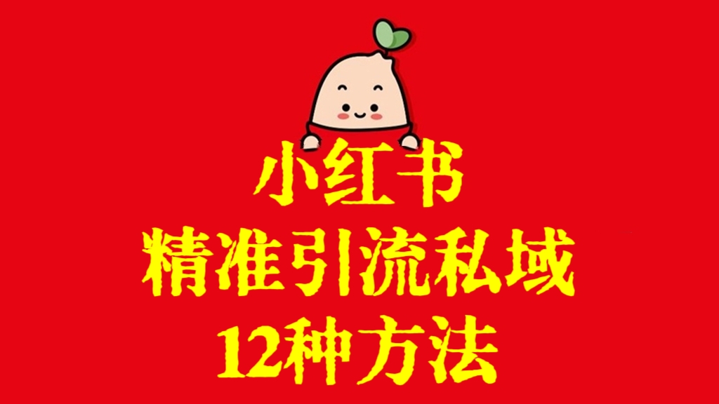 [第2909讲]❤️小红书精准引流私域的12种方法