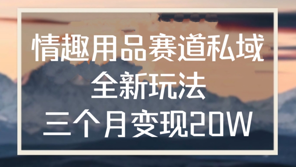 [第2919讲]情趣用品赛道私域全新玩法，三个月变现20W