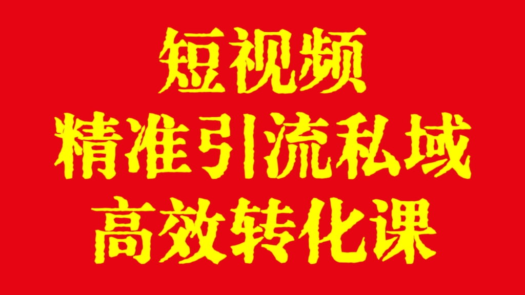 [第2941讲]短视频精准引流私域高效转化课