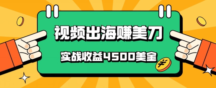 [第2950讲]批量无脑搬运国内爆款视频出海赚美刀，实战收益4500美金