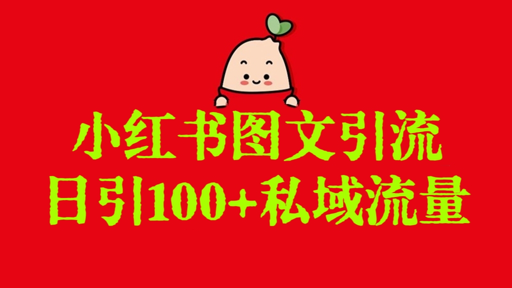 [第2956讲]小红书图文引流，日引100+私域流量