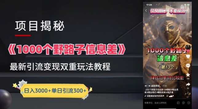 [第2959讲]一千个野路子信息差最新玩法