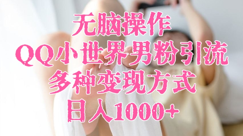 [第2964讲]无脑操作QQ小世界男粉引流，多种变现方式，日入1000+