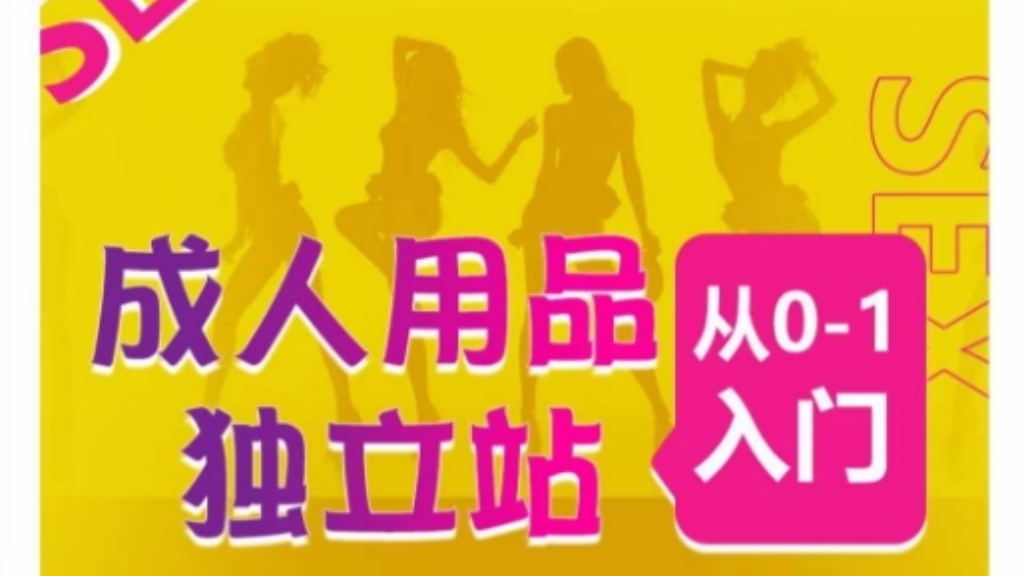 [第2966讲]从0-1成人用品独立站运营全流程教学