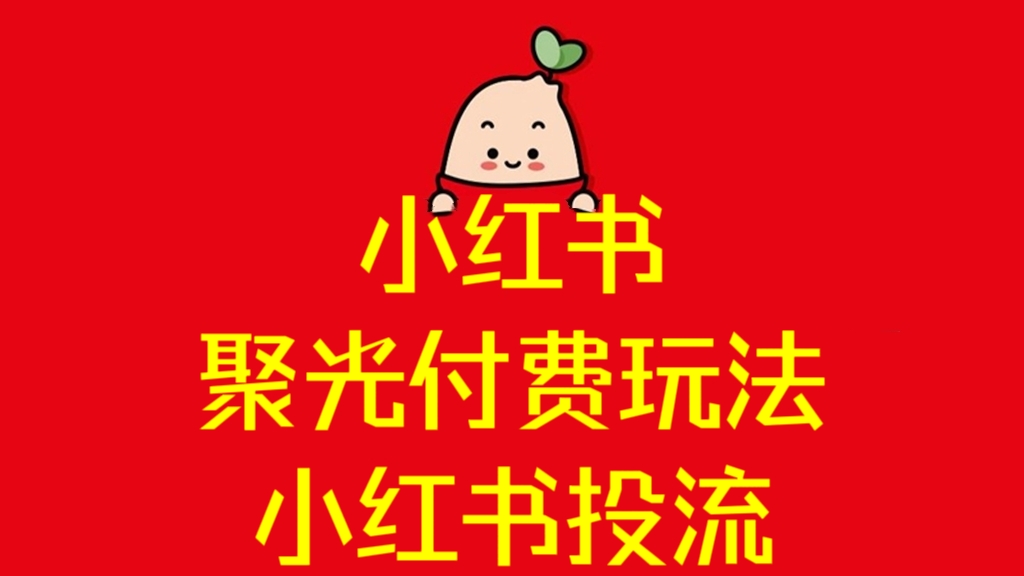 [第2985讲]2024年小红书聚光付费玩法，小红书投流