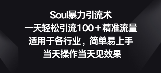 [第2988讲]【适用于各行业】Soul暴力引流术，一天轻松引流100＋精准流量