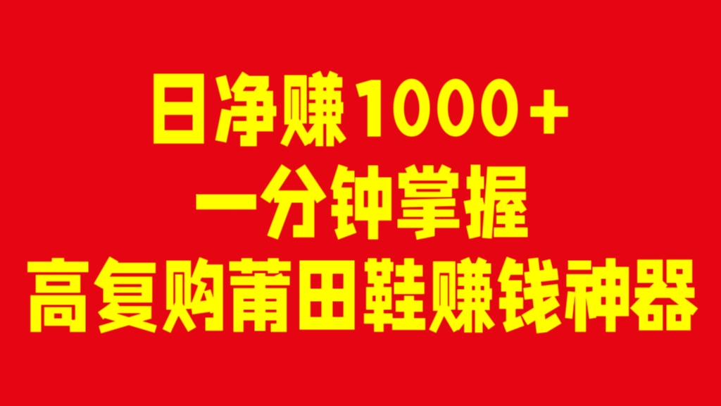 [第3002讲]日净赚1000+，一分钟掌握的高复购莆田鞋赚钱神器