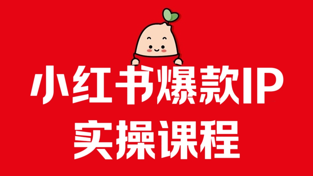 [第3038讲]小红书爆款IP实操课程