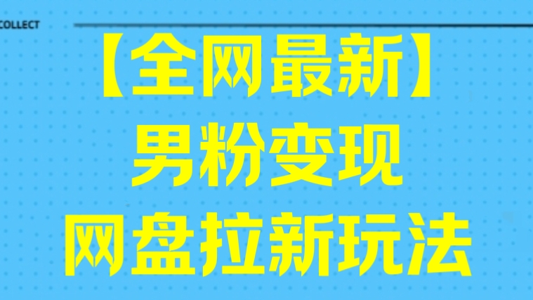 [第3049讲]【全网最新】男粉变现网盘拉新玩法
