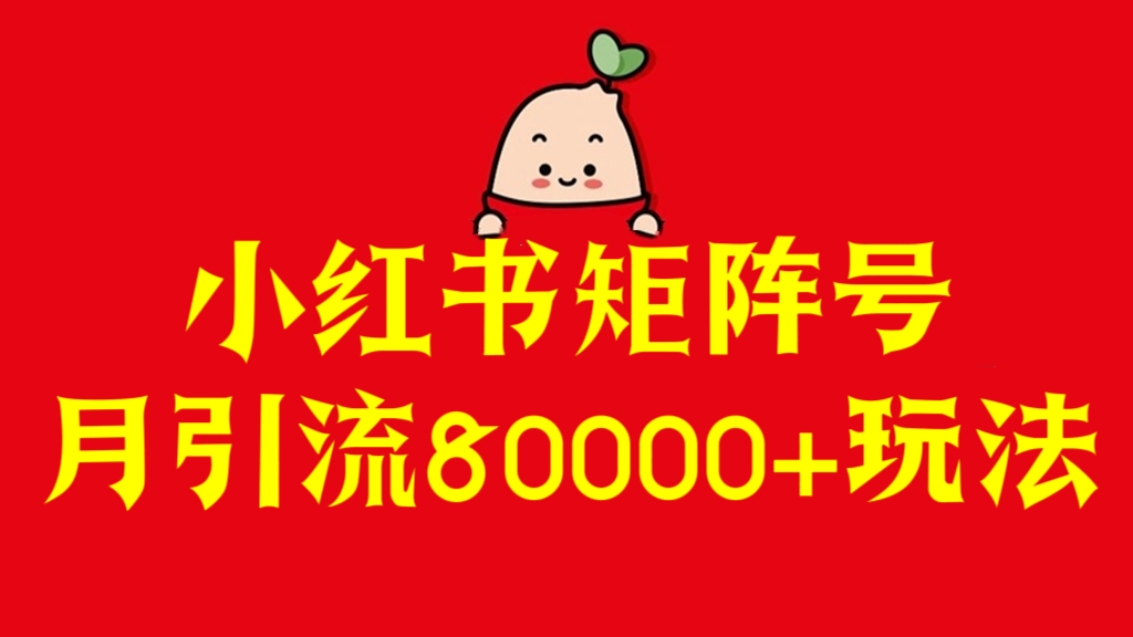 [第3050讲]小红书矩阵号月引流80000+玩法