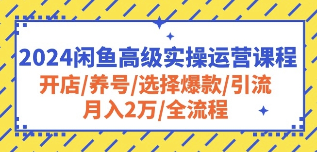 [第3074讲]2024闲鱼高级实操运营课程：开店/养号/选择爆款/引流/月入2万/全流程