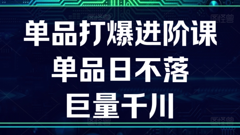 [第3099讲]单品打爆进阶课 单品日不落 巨量千川