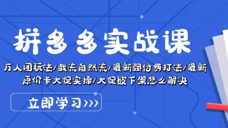 [第3101讲]拼多多实战课：万人团玩法/截流自然流/最新强付费打法/最新原价卡大促