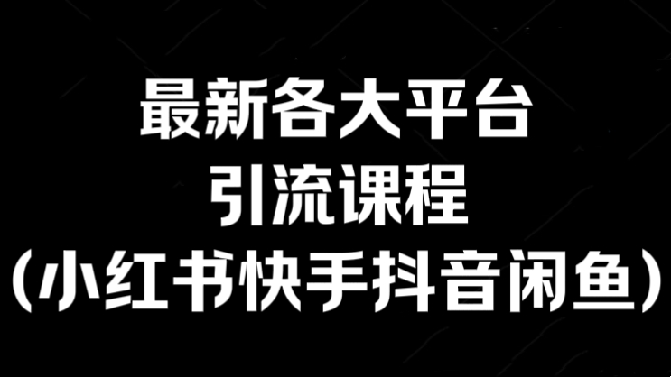 [第3106讲]最新各大平台引流课程(小红书快手抖音闲鱼)