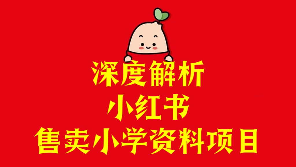 [第3024讲]深度解析小红书售卖小学资料项目