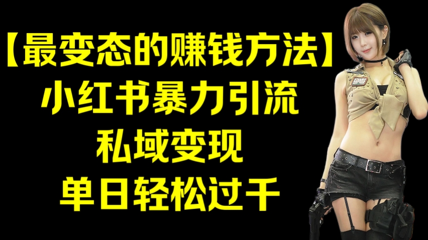 [第3044讲]【最变态的赚钱方法】小红书暴力引流，私域变现，单日轻松过千