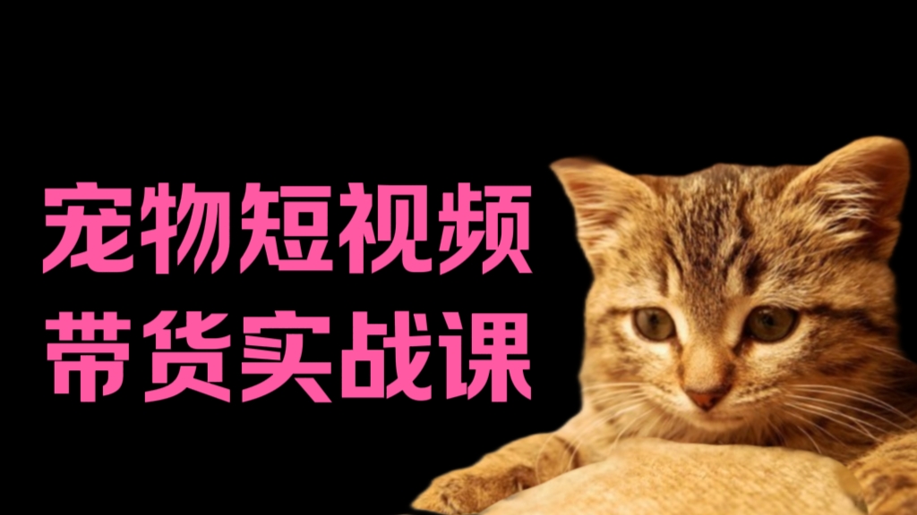 [第3049讲]宠物短视频带货实战课