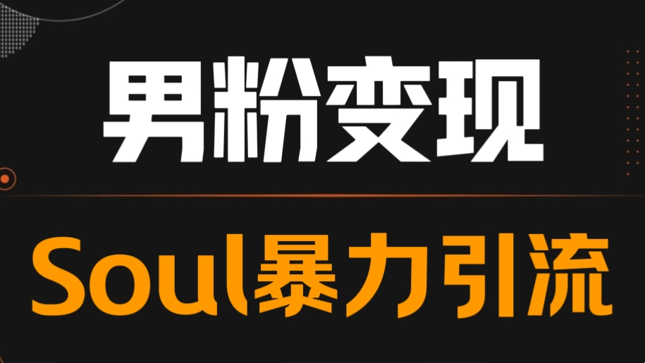 [第3077讲]男粉变现项目: Soul暴力引流