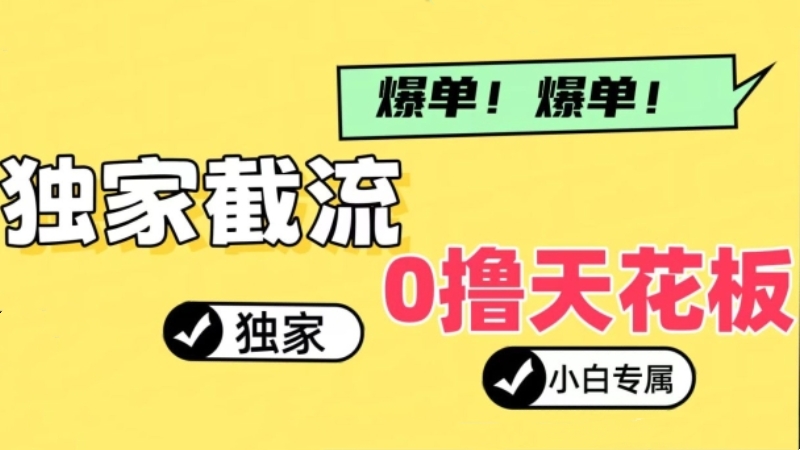 [第3085讲]2024独家截流新玩法