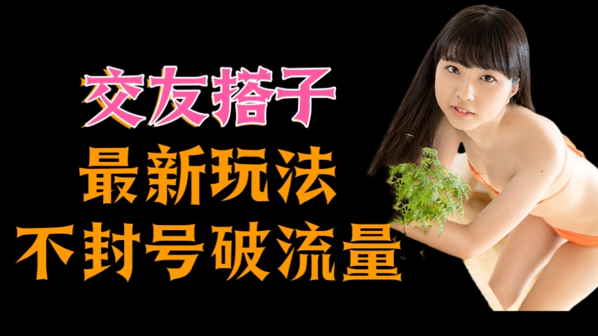 [第3094讲]交友搭子最新玩法，不封号破流量