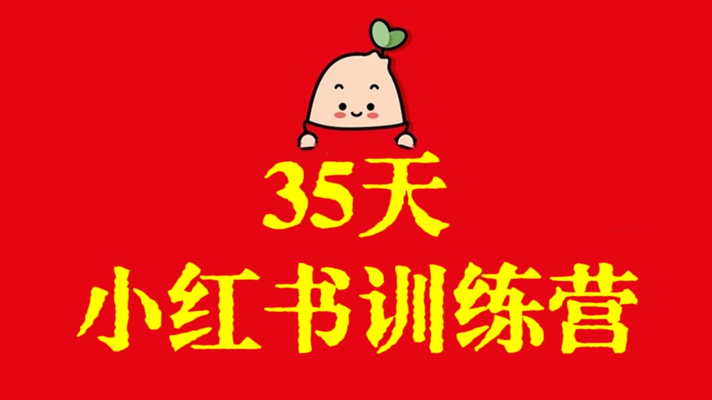 [第3121讲]35天小红书训练营