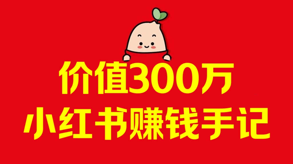 [第3134讲]价值300万的小红书赚钱手记