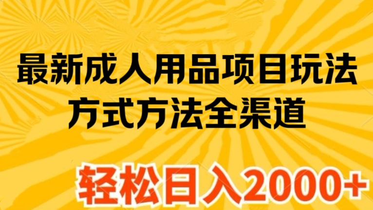 [第3162讲]最新成人用品项目玩法，方式方法全渠道，轻松日入2K+