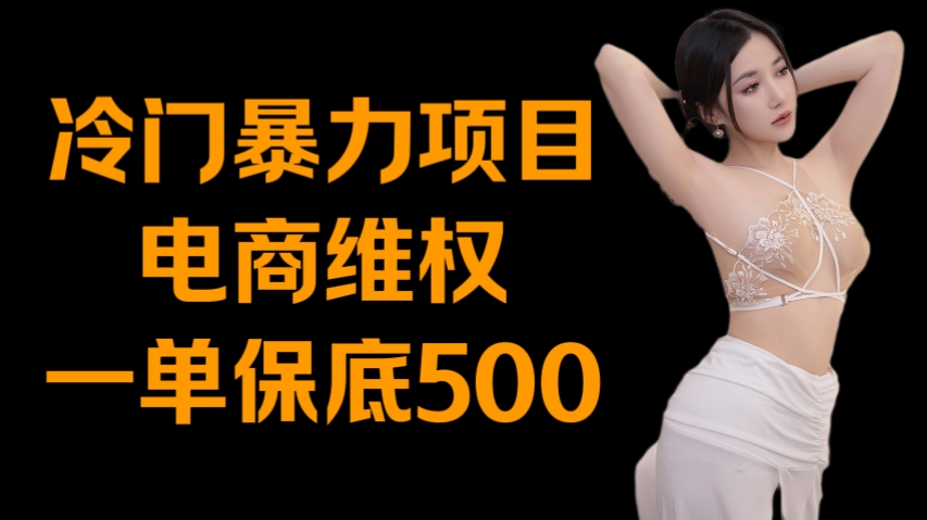 [第3182讲]冷门暴力项目:电商维权，一单保底500