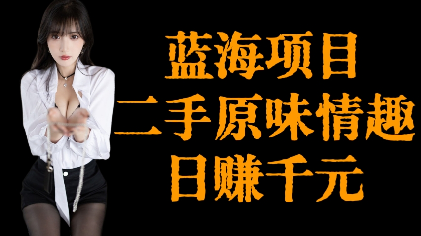 [第3221讲]蓝海项目，二手原味情趣日赚千元