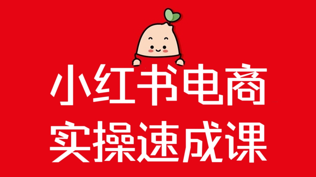 [第3224讲]小红书电商实操速成课